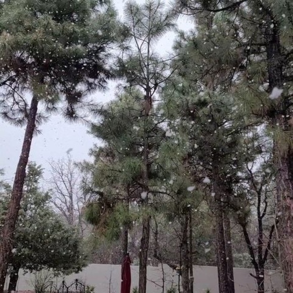 Meet your Posher, Natalie - Picture 1 of 1